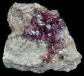 Roselite and Calcite Crystals on Matrix - Morocco #57145-1